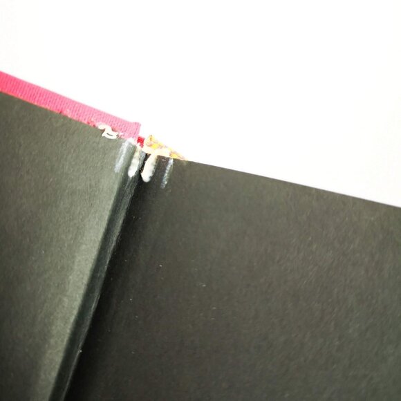 Canadian Whos Who 2010 Red HC Biography Genealogy Toronto Grey Publishing - Picture 10 of 12